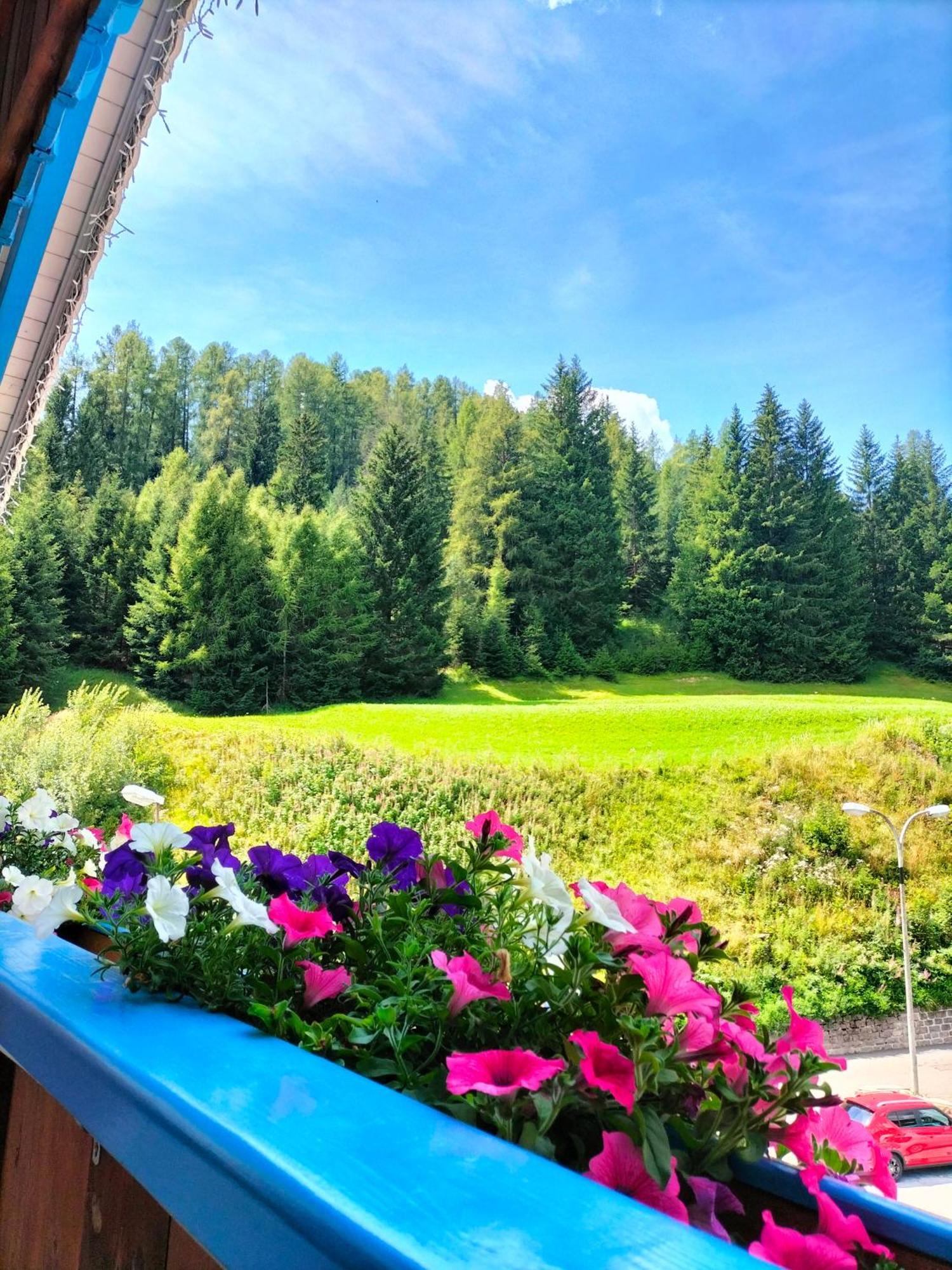Hotel Vael Vigo di Fassa Bagian luar foto
